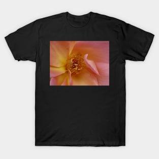 Starburst T-Shirt